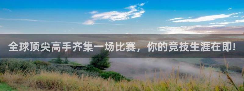 全球顶尖高手齐集一场比赛，你的竞技生涯在即!